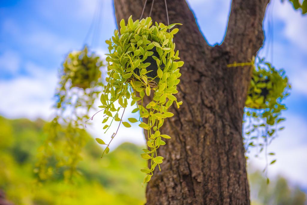 Crystal Wild Resort Panwa Phuket Zewnętrze zdjęcie