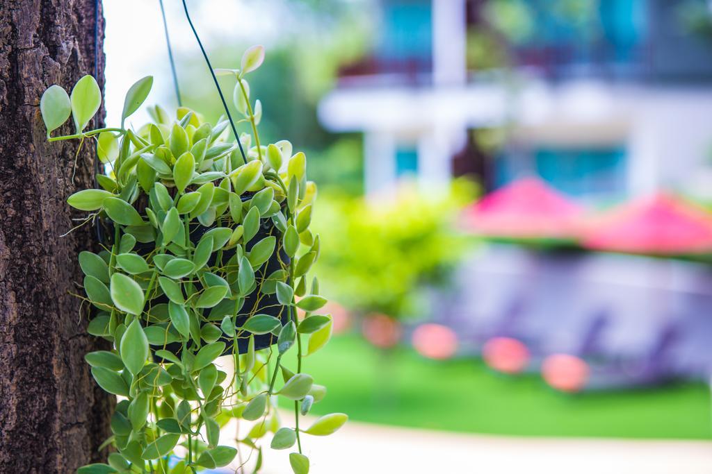 Crystal Wild Resort Panwa Phuket Zewnętrze zdjęcie